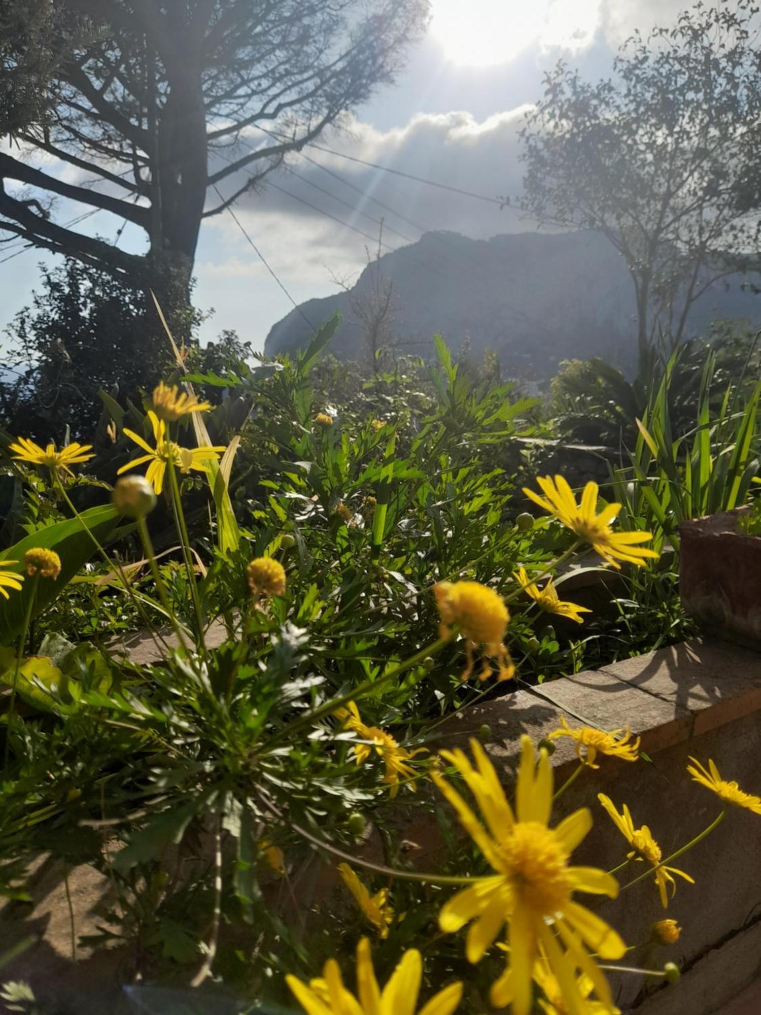 Rosetta Casa de férias Capri