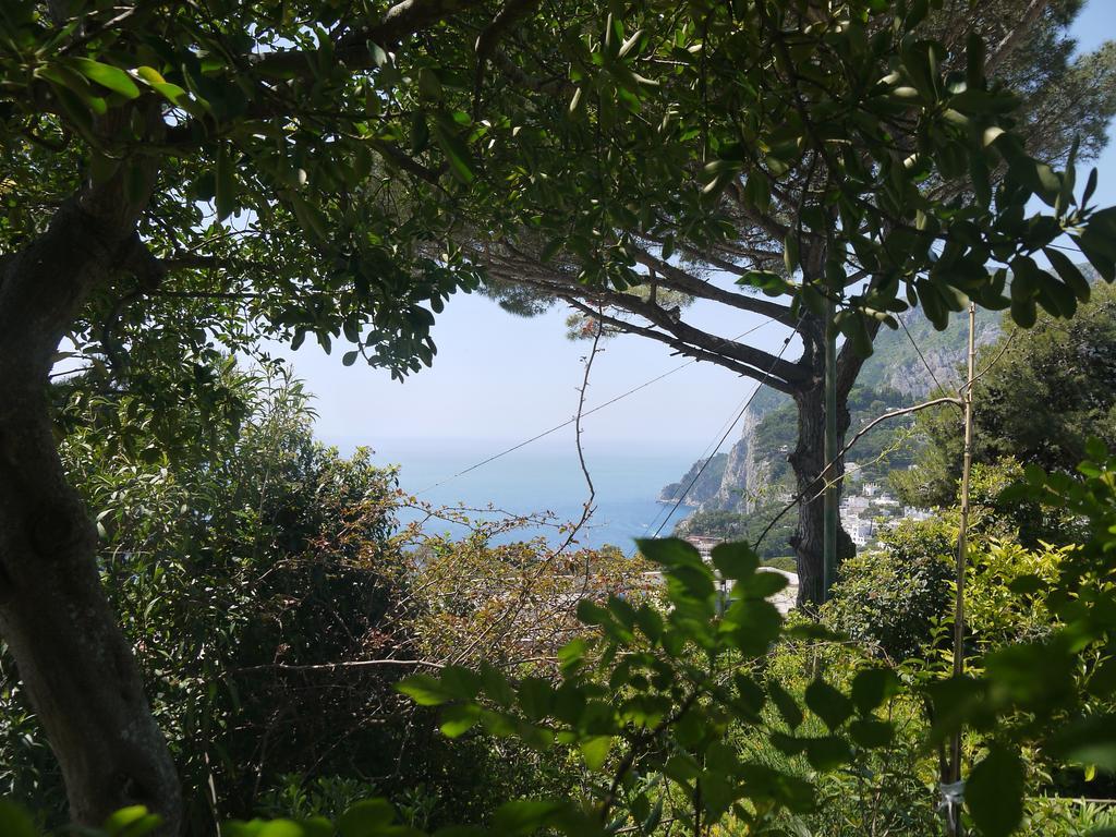 Casa de férias Rosetta Capri